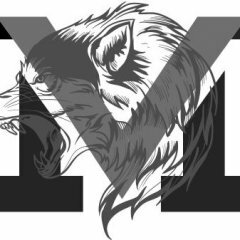 morf423