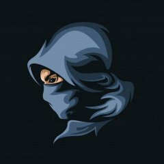 Ninja`s
